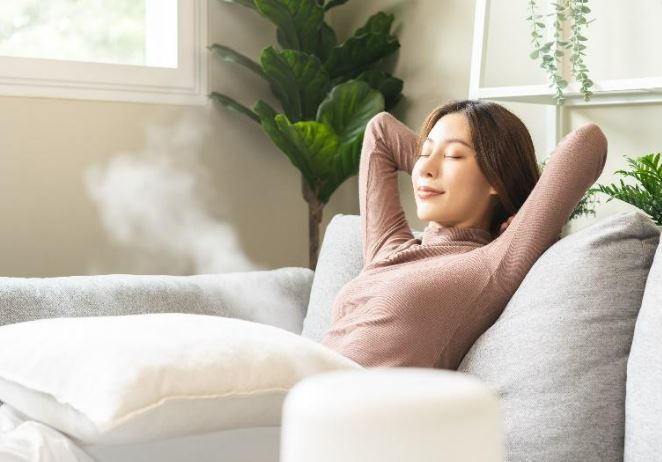 Air Humidifier
