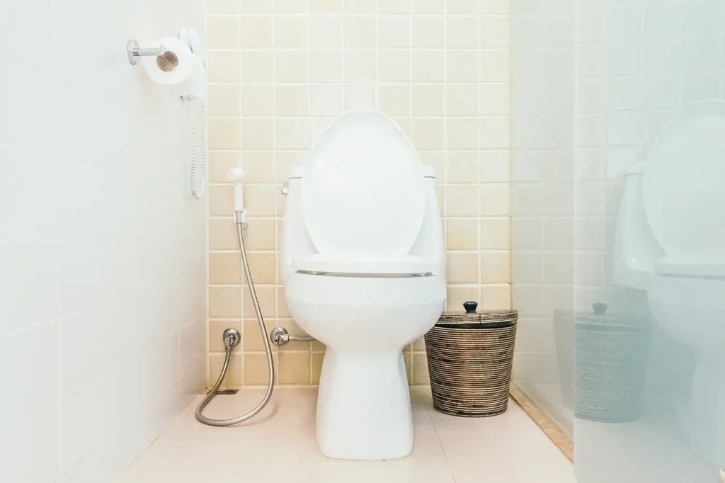 Bathroom Toilet Interior